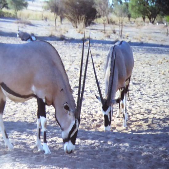 Namibia 2